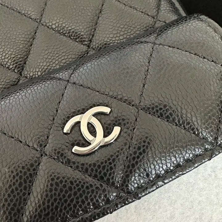 [BUNJANG] Chanel Cruise Caviar Mini Backpack Silver Hardware / 샤넬 크루즈 캐비어 미니백팩 은장