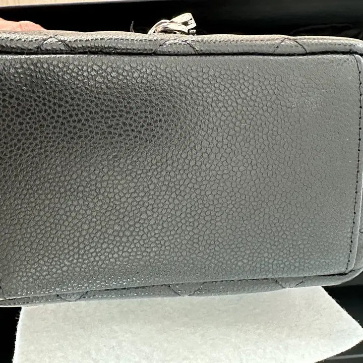 [BUNJANG] Chanel Cruise Caviar Mini Backpack Silver Hardware / 샤넬 크루즈 캐비어 미니백팩 은장