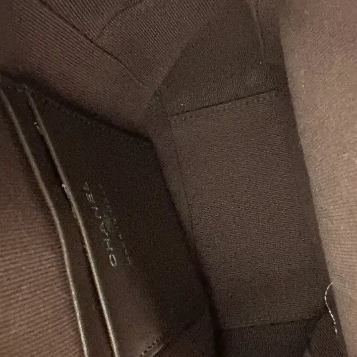 [BUNJANG] Chanel Cruise Caviar Mini Backpack Silver Hardware / 샤넬 크루즈 캐비어 미니백팩 은장