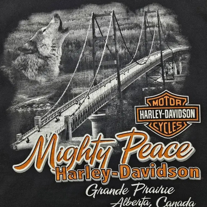 [BUNJANG] Harley-Davidson Grande Prairie Mighty Piece T-Shirt / 할리데이비슨 그란데 프레리 마이티피스 반팔 티셔츠 ( L )/ 11353