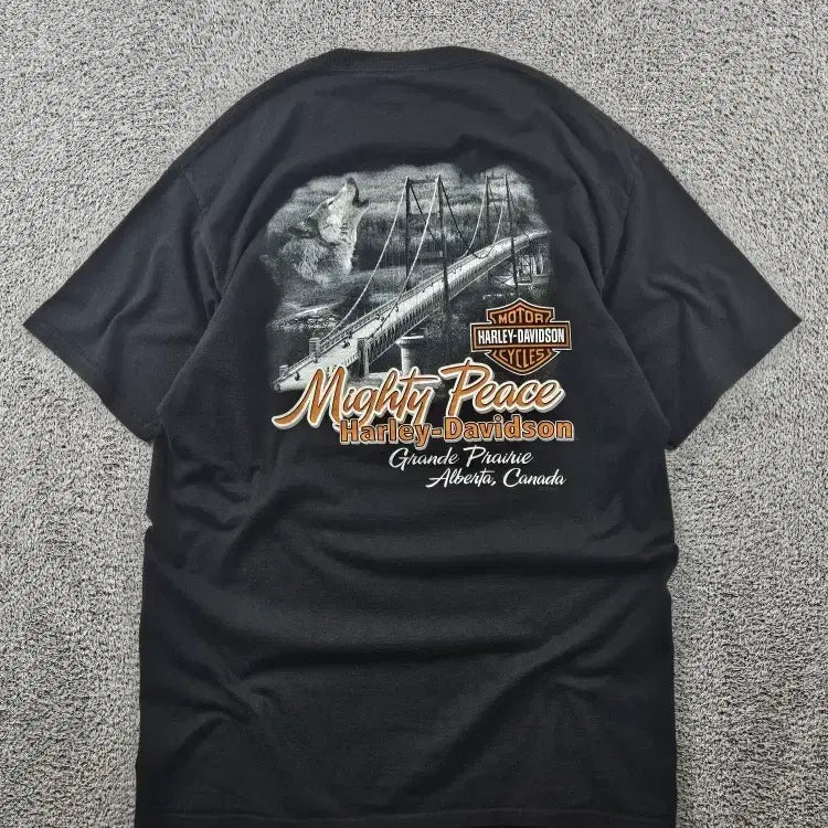 [BUNJANG] Harley-Davidson Grande Prairie Mighty Piece T-Shirt / 할리데이비슨 그란데 프레리 마이티피스 반팔 티셔츠 ( L )/ 11353