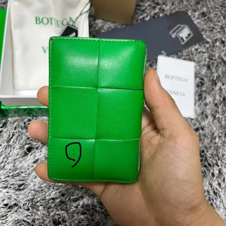 [BUNJANG] Bottega Veneta Flap Card Case Parakeet / 크림풀구성) 보테가 베네타 플랩 카드 케이스 패러킷