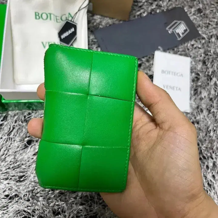 [BUNJANG] Bottega Veneta Flap Card Case Parakeet / 크림풀구성) 보테가 베네타 플랩 카드 케이스 패러킷