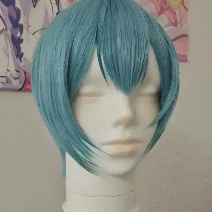 [BUNJANG] Wig Styling Service / 가발 세팅/힐링 5000원에 해드려요