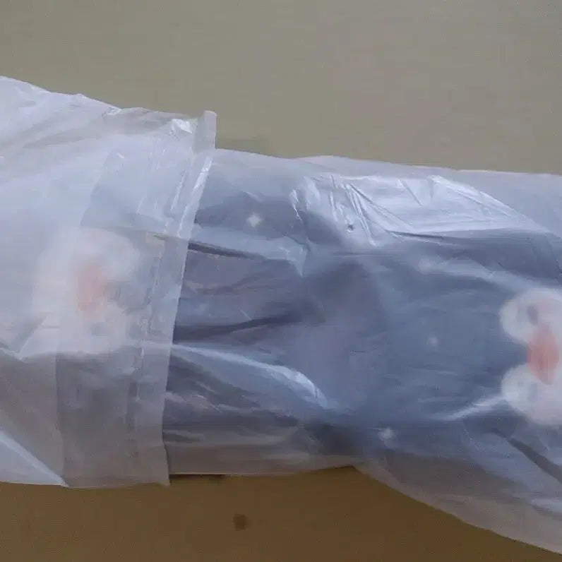 [BUNJANG] Lee Junho 2PM PengPeng Slippers / 이준호 펭펭 슬리퍼 (포토카드 포함)