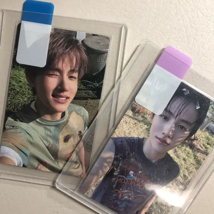 [BUNJANG] Cortis Bundle Set / 코르티스