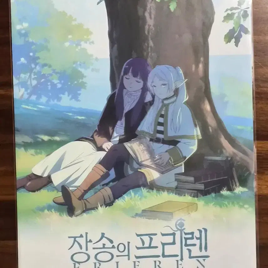 [BUNJANG] Frieren: Beyond Journey&