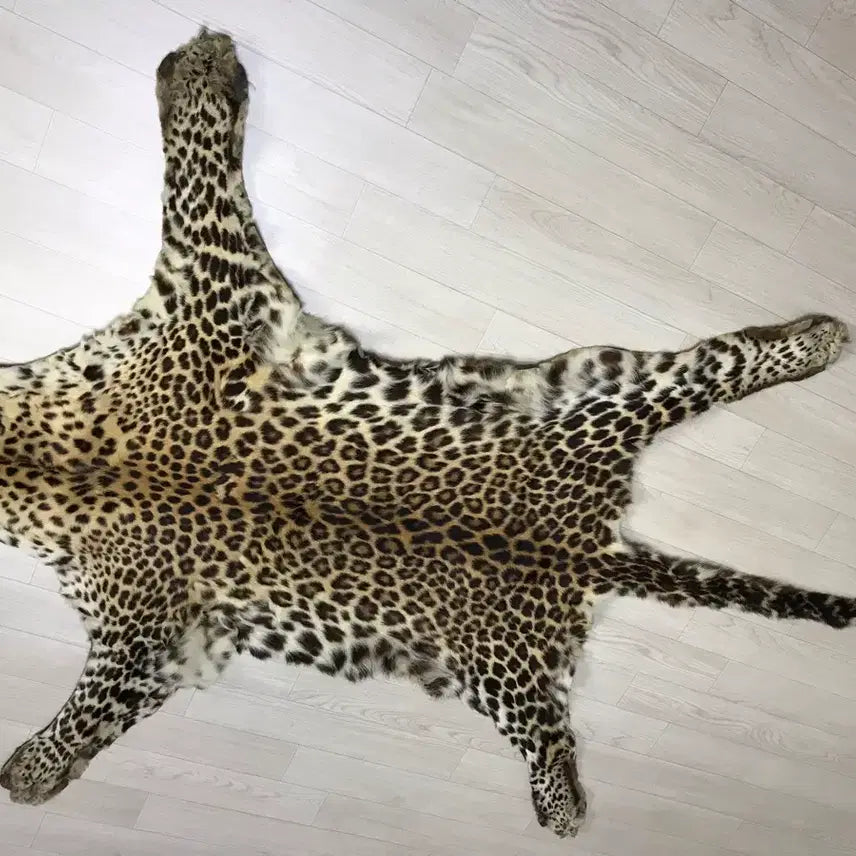 [BUNJANG] Leopard Wall Decoration / 표범 벽장식