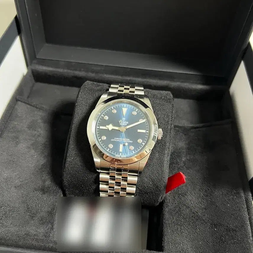 [BUNJANG] Tudor Black Bay 39 Watch / 튜더 블랙베이39
