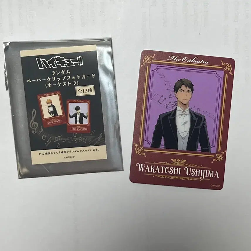 [BUNJANG] Haikyuu!! Wakatoshi Ushijima Photocard / 하이큐 오케스트라 우시지마 와카토시 포토카드