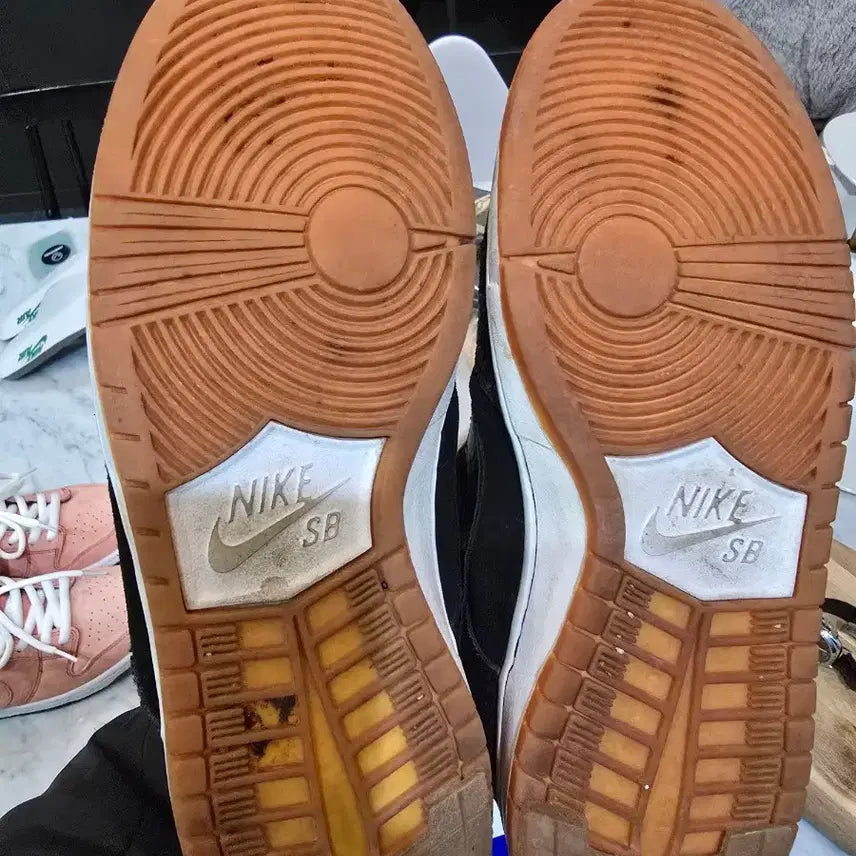 [BUNJANG] Nike Dunk Low Pro & Premium Bundle Set / 나이키 덩크 로우 프로 프리미엄 일괄로만 판매합니다.