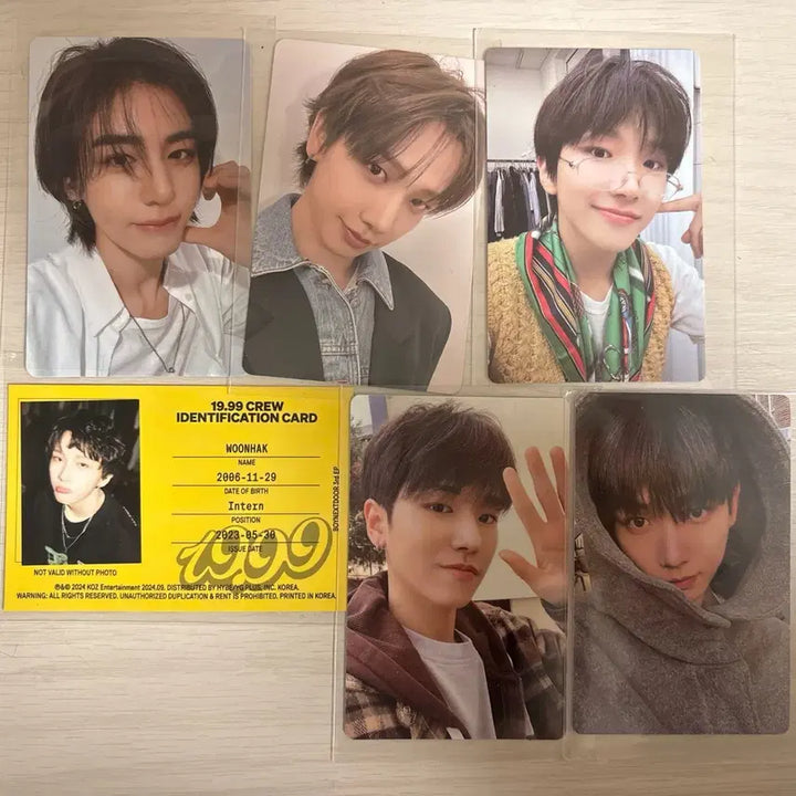 [BUNJANG] BOYNEXTDOOR Photocard Bundle Set / 보이넥스트도어 포카 일괄로 팔아요 !
