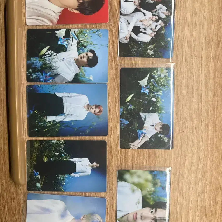 [BUNJANG] ENHYPEN World Tour Photocard / 엔하이픈 웤더라 포카