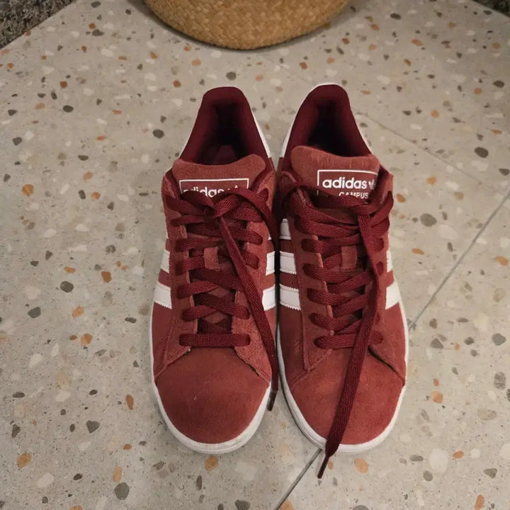 [BUNJANG] Onitsuka Tiger, Adidas Campus, UGG, Polo Shoes / 오니츠카타이거, 아디다스 캠퍼스, 어그, 폴로