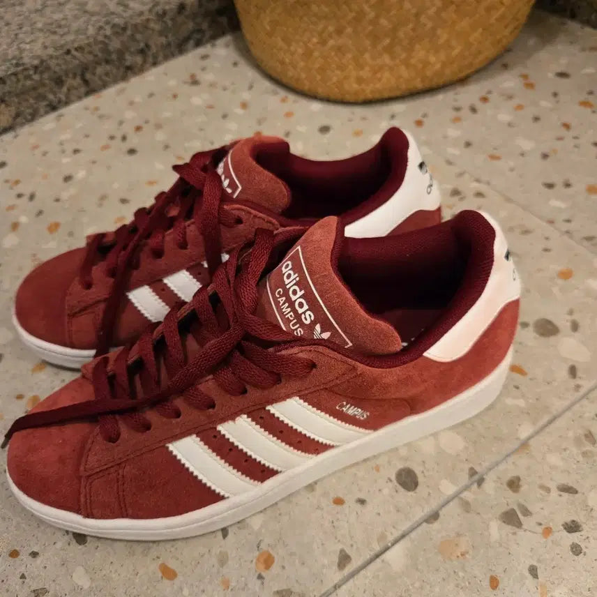 [BUNJANG] Onitsuka Tiger, Adidas Campus, UGG, Polo Shoes / 오니츠카타이거, 아디다스 캠퍼스, 어그, 폴로