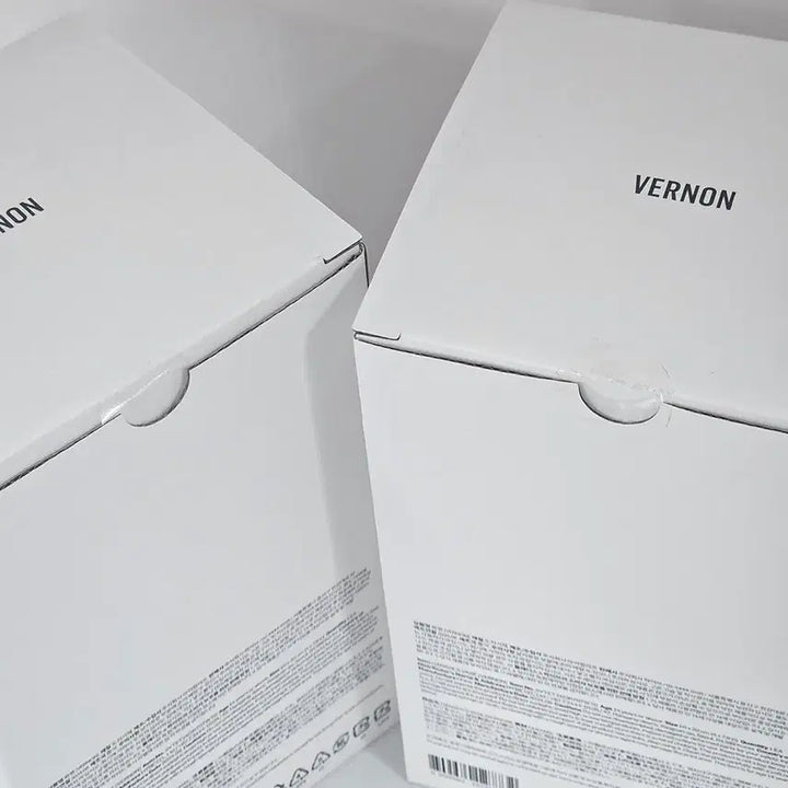 [BUNJANG] SEVENTEEN Vernon Vase Artist Made Item / (미개봉) 세븐틴 버논 화병 아티스트메이드 VERNON Vase