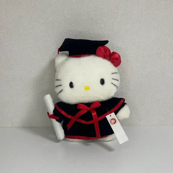 [BUNJANG] Sanrio Hello Kitty 1998 Graduation Bearer Stuffed Toy / 고전 키티 인형 빈티지 졸업식 졸업 학사모