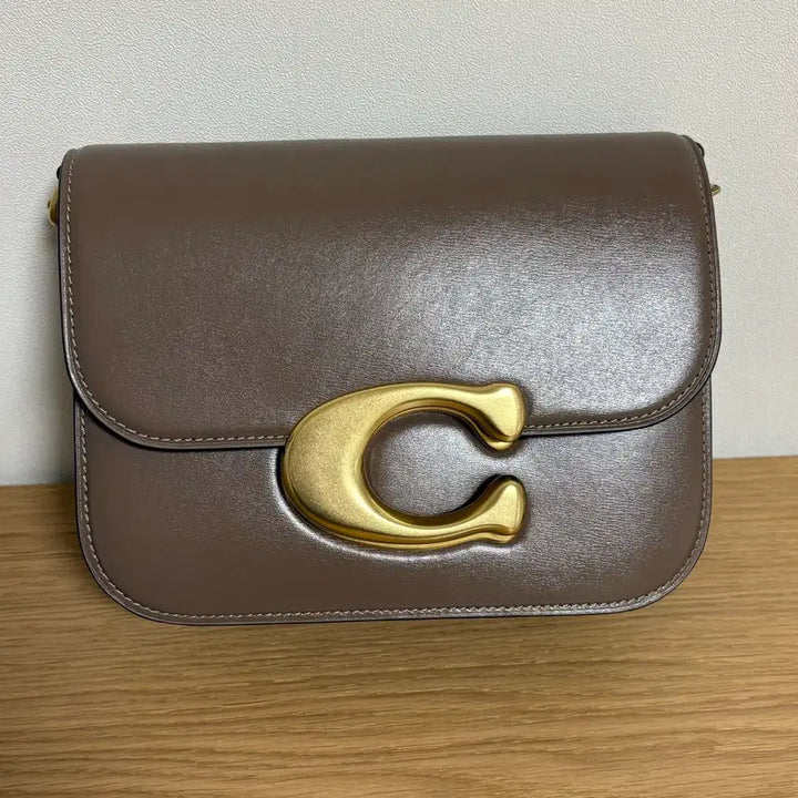 [BUNJANG] COACH Idol Bag / 코치 COACH 가방 아이돌 백