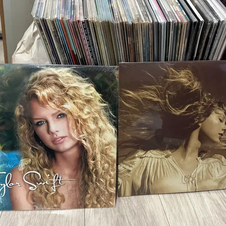 [BUNJANG] Taylor Swift Vinyl LP Collection / 테일러 스위프트 LP 음반 모음 (Taylor Swift)