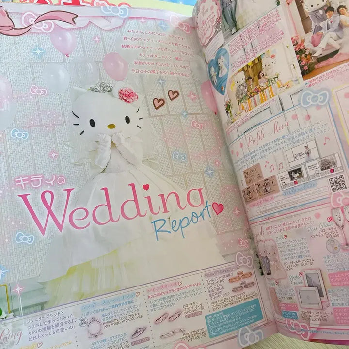 [BUNJANG] Sanrio Ichigo Newspaper Volume 22 Bundle / 산리오 이치고 신문 22권