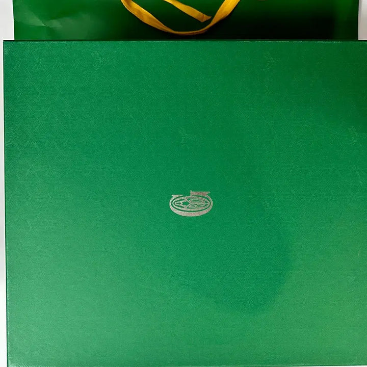 [BUNJANG] Goyard Ambassade Briefcase MM / 고야드 암바사드 서류가방 브리프케이스 MM