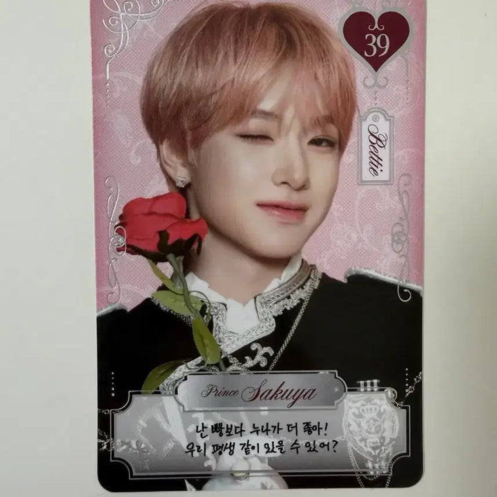 [BUNJANG] NCT WISH Sakuya Special Photocard / 엔시티위시 2주년 팬미팅 트레카 사쿠야 스페셜 양도 nct wish