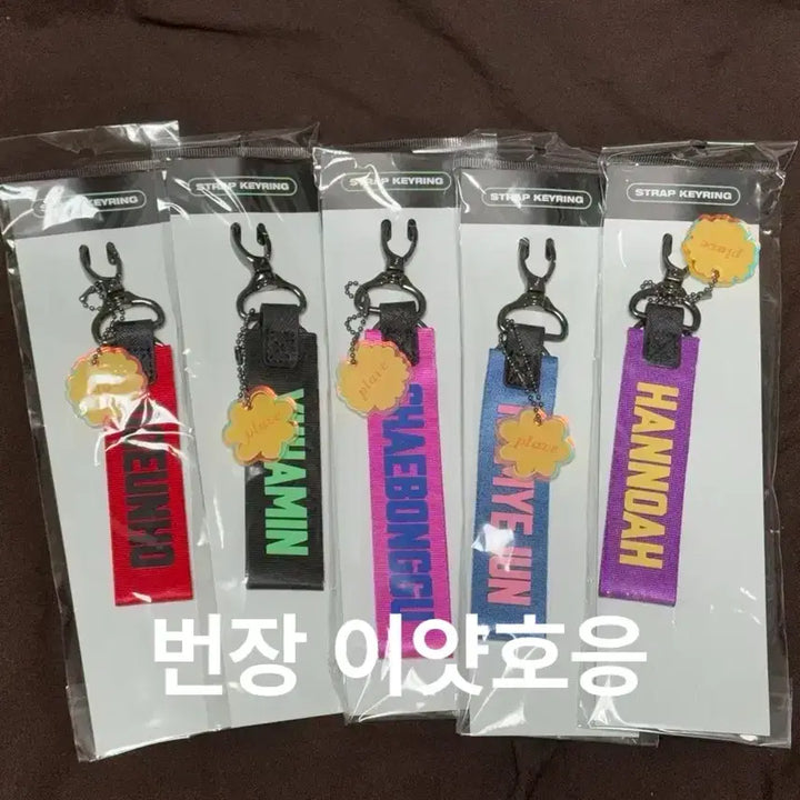 [BUNJANG] PLAVE Yewon Summer Strap Bundle Set (Sealed) / 일괄) 플레이브 육여름 스트랩 미개봉
