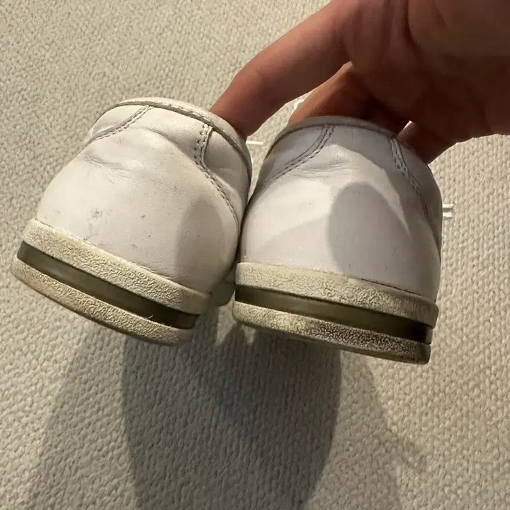 [BUNJANG] Dolce & Gabbana Sneakers / 돌체앤가바나 스니커즈