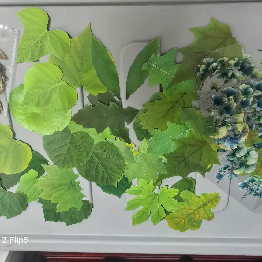 [BUNJANG] Leaf Stickers Bundle Set / 다꾸용 잎사귀 스티커 모음