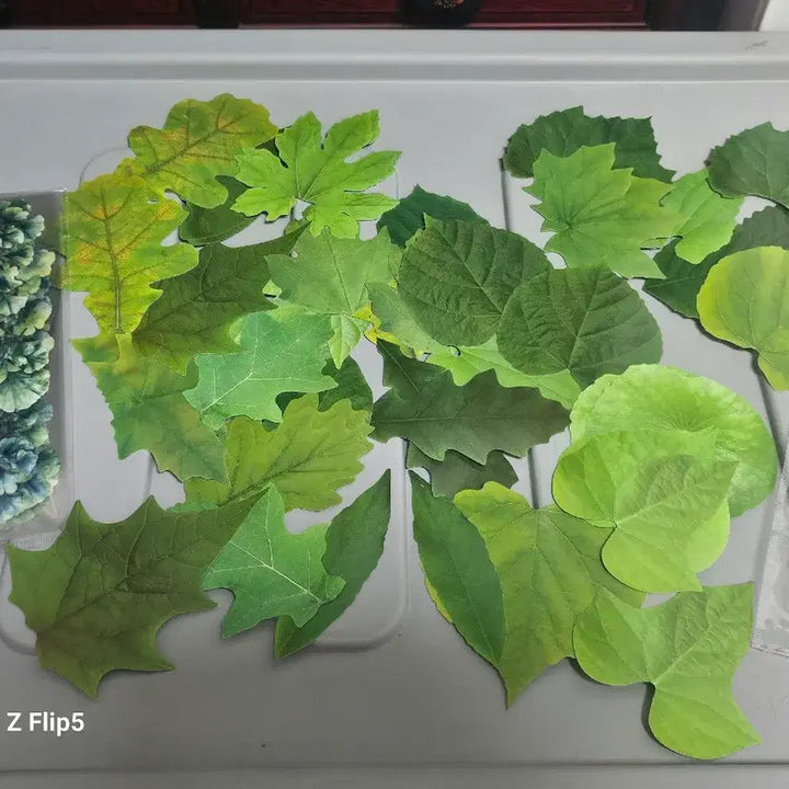 [BUNJANG] Leaf Stickers Bundle Set / 다꾸용 잎사귀 스티커 모음