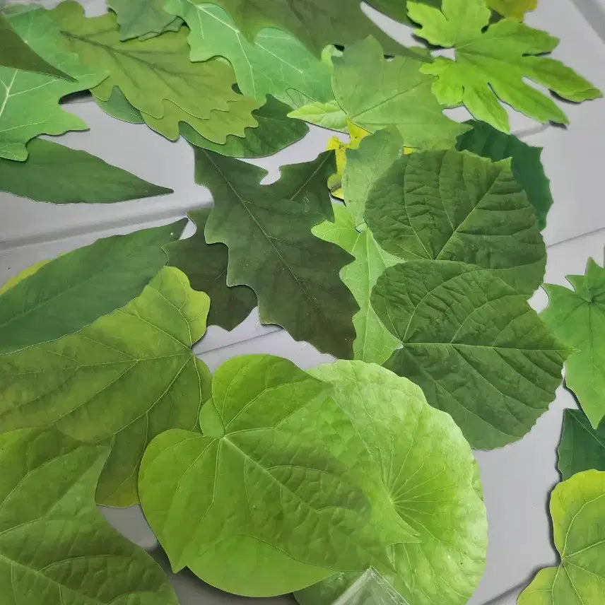 [BUNJANG] Leaf Stickers Bundle Set / 다꾸용 잎사귀 스티커 모음