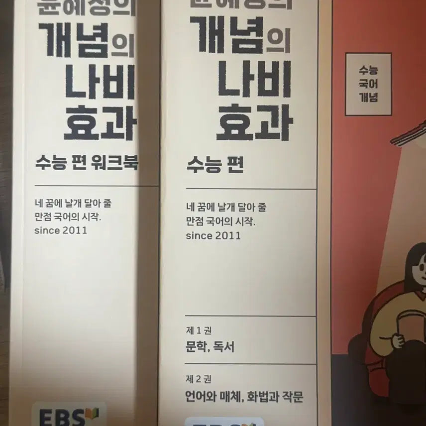 [BUNJANG] EBS Yoon Hyejung's Butterfly Effect Textbook / EBS 윤혜정의 개념의 나비효과
