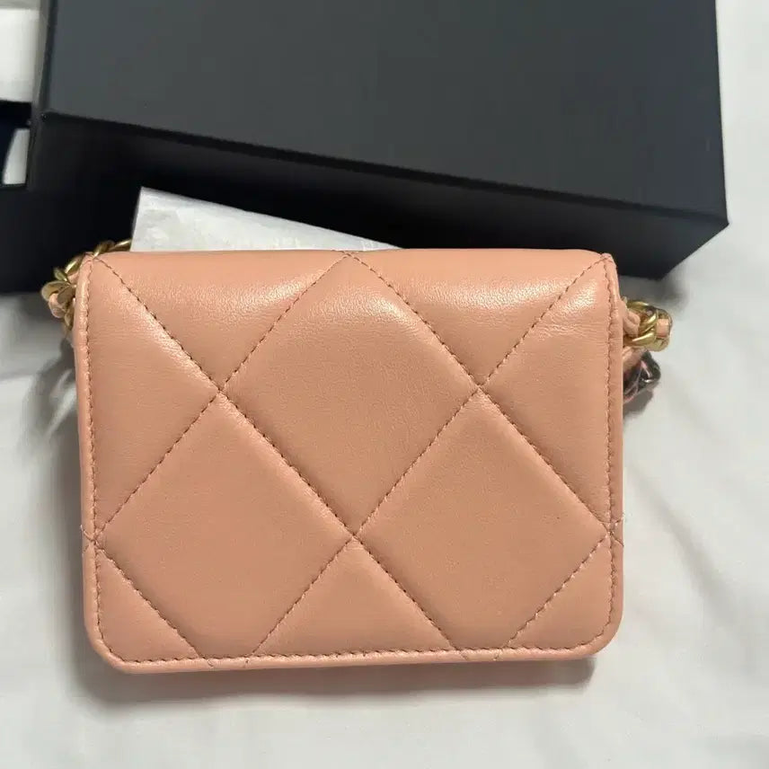 [BUNJANG] Chanel 19 WOC Mini Chain Bag / [31번대,풀구성]샤넬 19 WOC 미니 체인백