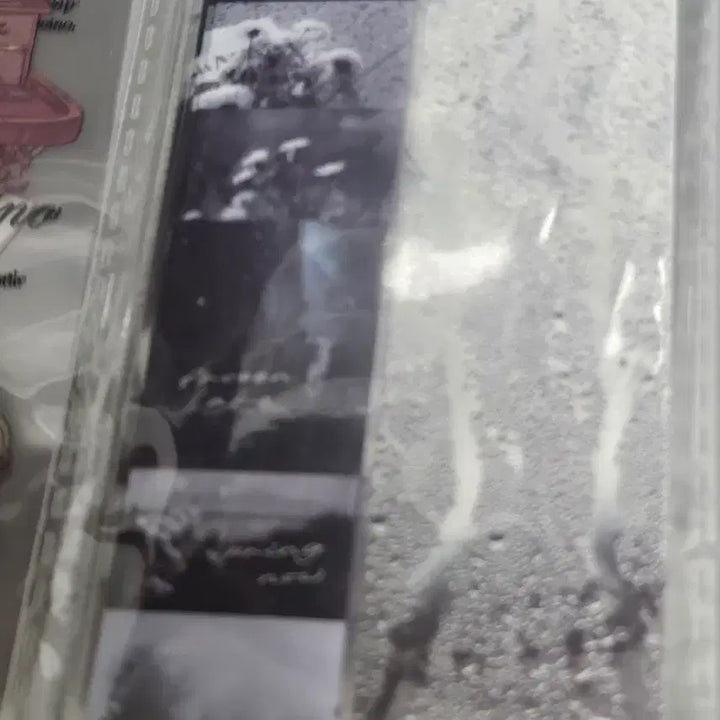 [BUNJANG] Vintage/Floral/Scenery Stickers / 다꾸 스티커 빈티지/꽃/풍경 모음