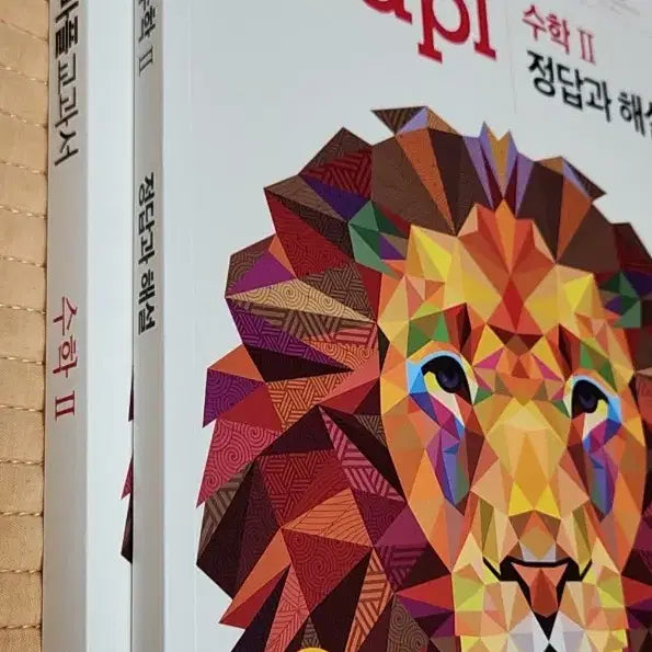 [BUNJANG] Math Textbook Bundle Set / 수학문제집(정석 마플 고쟁이)
