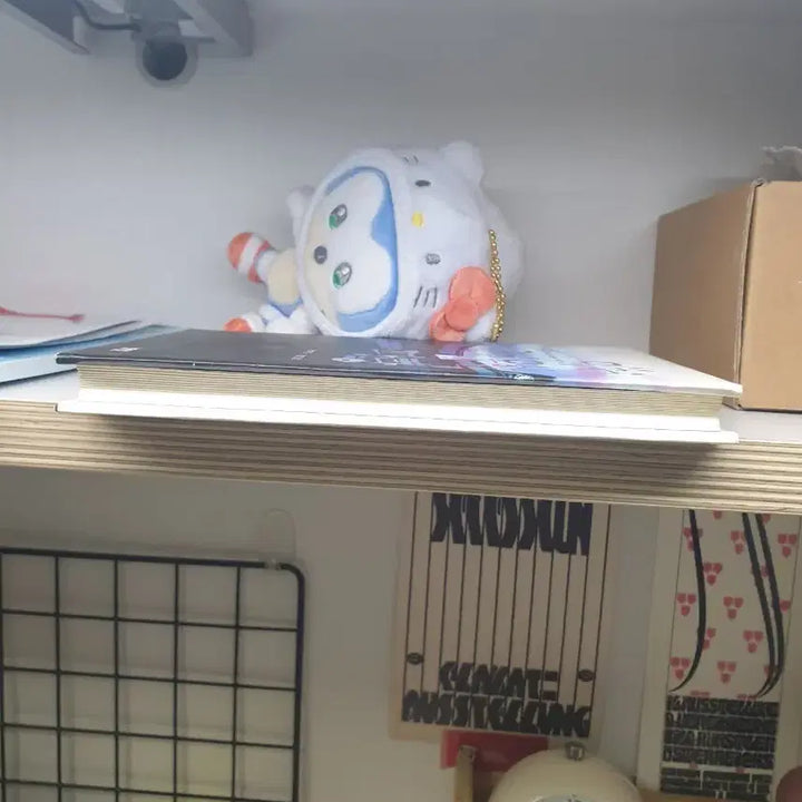 [BUNJANG] Otsuichi Blue That Could Not Be Reached Novel / 오츠이치 미쳐 죽지 못한 파랑 소설책