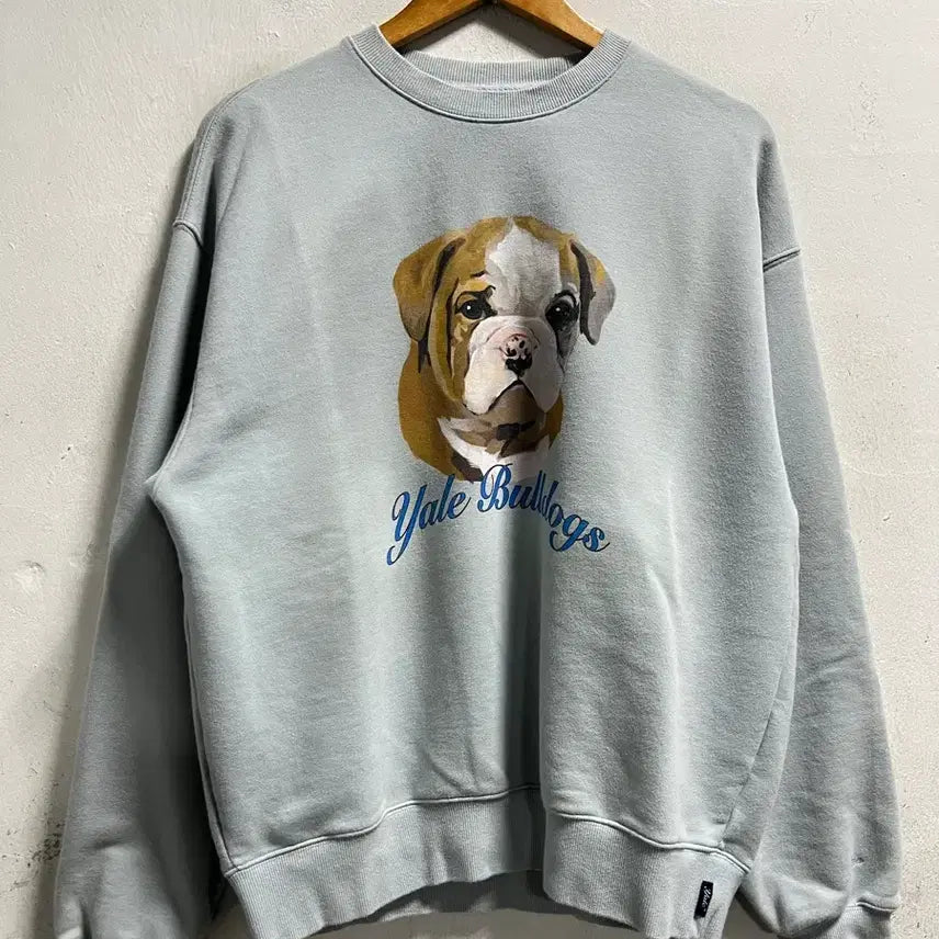 [BUNJANG] Yale Loose Fit Sweatshirt / 100 YALE 루즈핏 스웻 맨투맨 정품