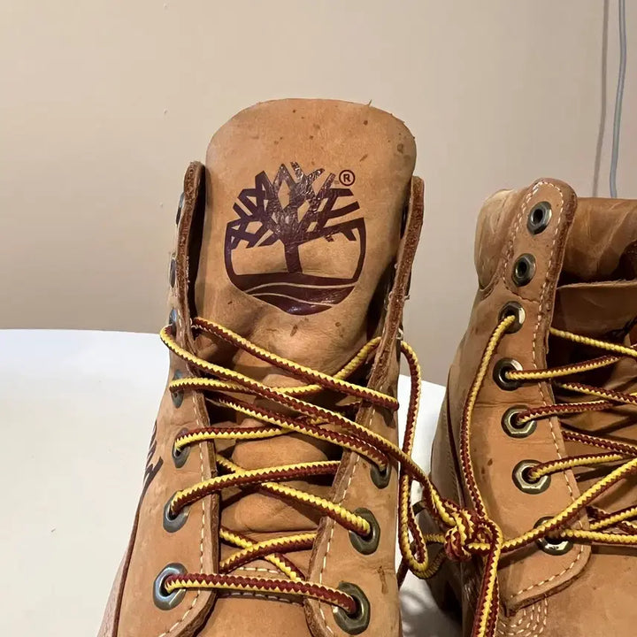 [BUNJANG] Timberland 6-Inch Premium Waterproof Boots / 팀버랜드 6인치 프리미엄 워터프루프 로고 레터링 부츠