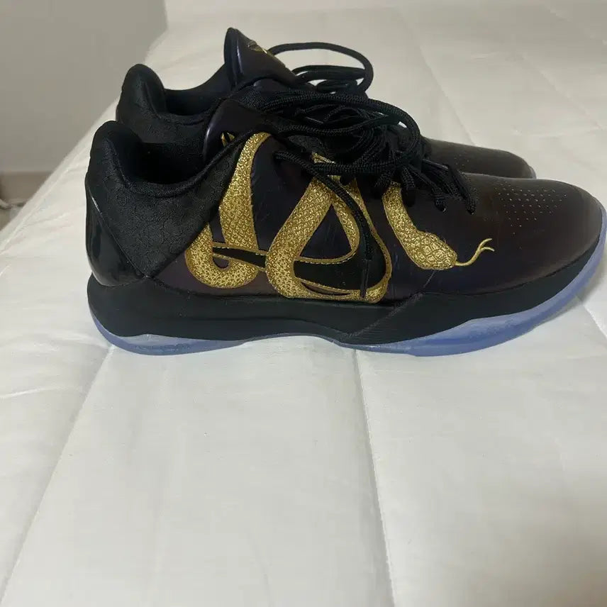 [BUNJANG] Kobe 5 Eggplant Basketball Shoes / 코비5애그플렌트 275(새상품)