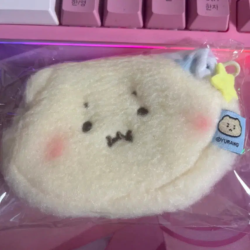 [BUNJANG] Beplain Mang-gom Coin Purse / 미개봉) 올리브영 비플레인 망그러진 곰 망곰이 동전지갑 파우치