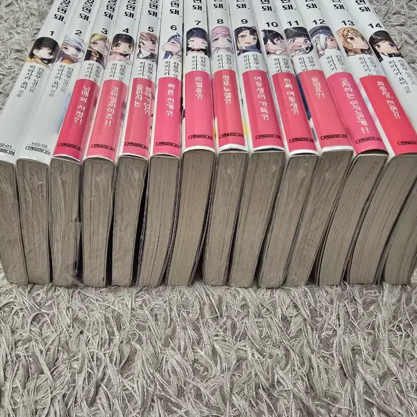 [BUNJANG] Light Novel: If My Little Sister Was Here, Volumes 1-14 / 라노벨 라이트노벨 여동생만있으면돼 1-14권 판매합니다.