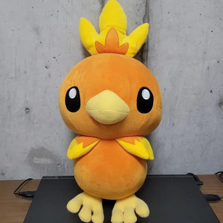[BUNJANG] Pokemon Torchic Plush Doll / 포켓몬스터 아차모 인형