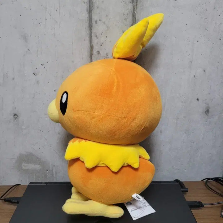 [BUNJANG] Pokemon Torchic Plush Doll / 포켓몬스터 아차모 인형
