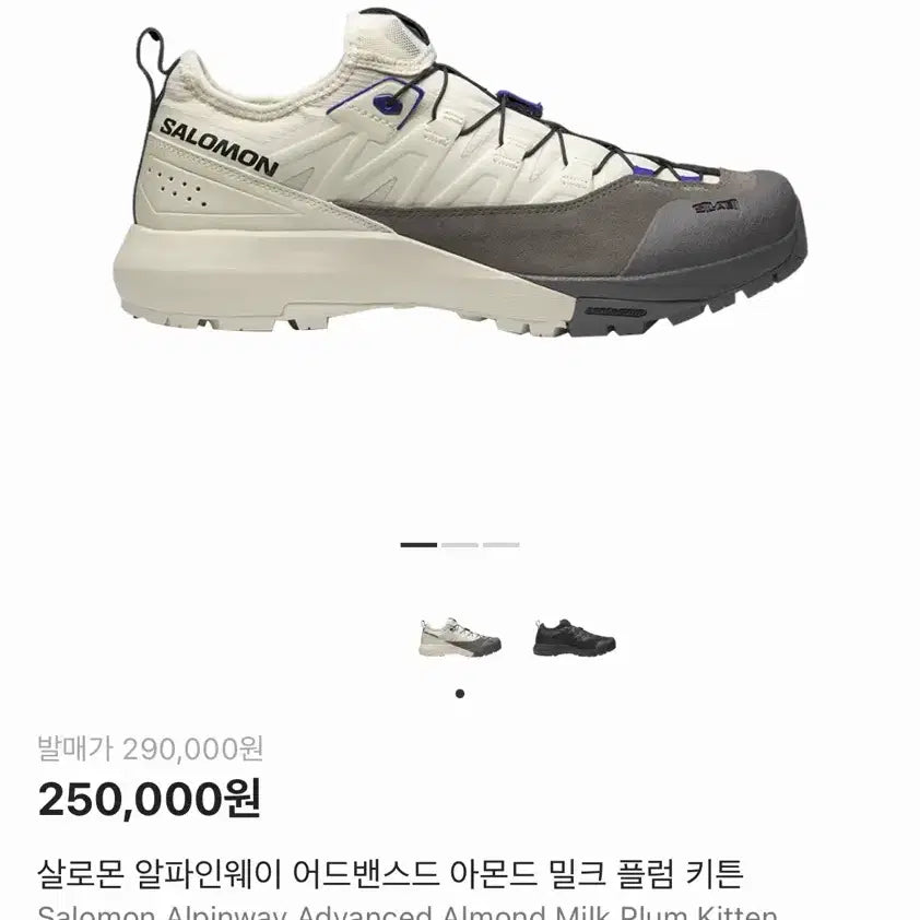 [BUNJANG] Salomon Alpine Way Advanced Hiking Boots / 살로몬 알파인웨이 어드밴스드 275