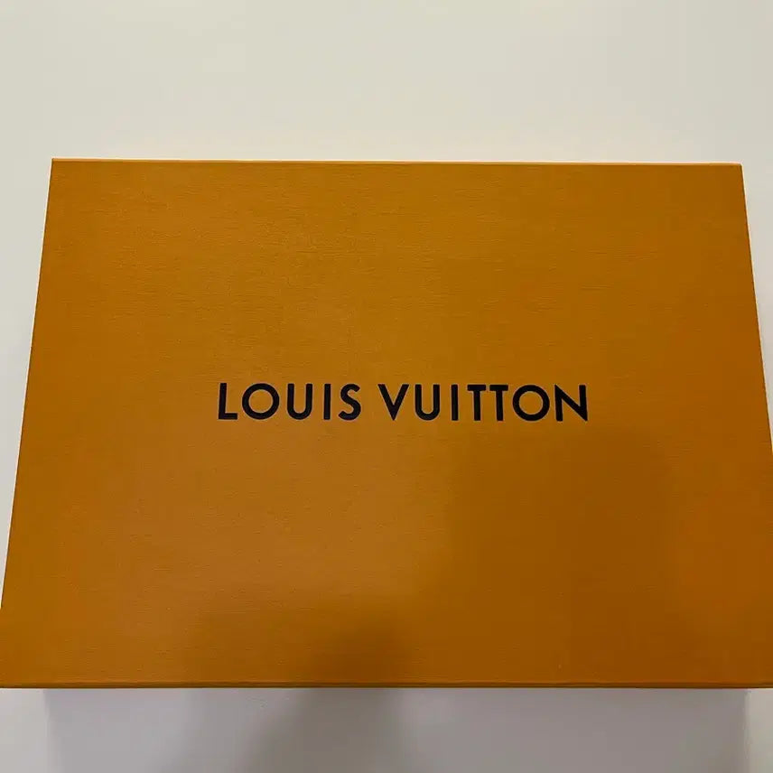 [BUNJANG] Louis Vuitton Clutch / 정품 루이비통 클러치