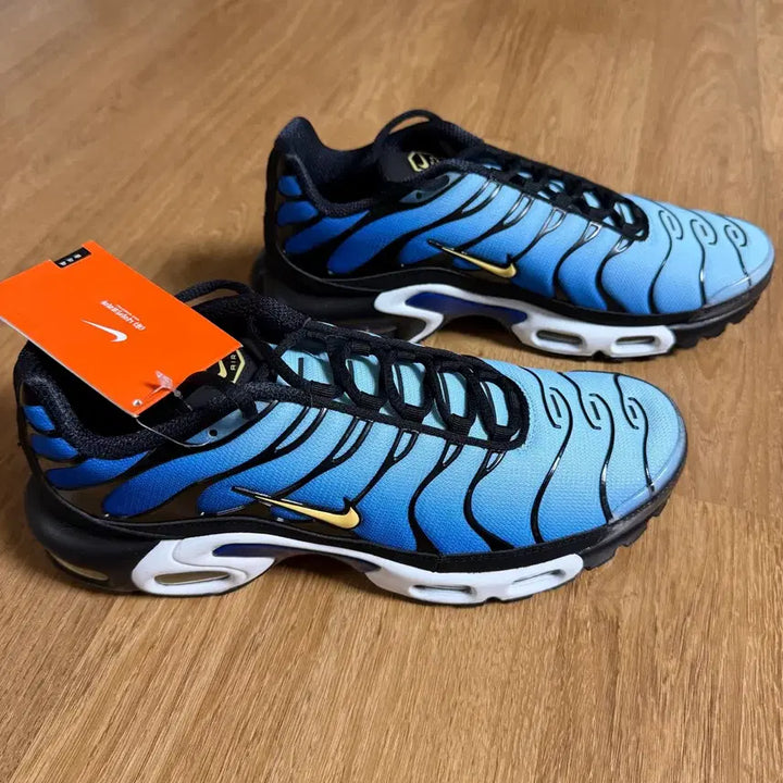 [BUNJANG] Nike Air Max Plus OG Hyper Blue 2025 Sneakers / [270 275] 나이키 에어맥스 플러스 OG 하이퍼블루 2025 운동화