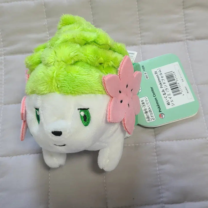 [BUNJANG] Pokemon Shaymin Fit Plush / 포켓몬 인형 fit 시리즈 셰이미