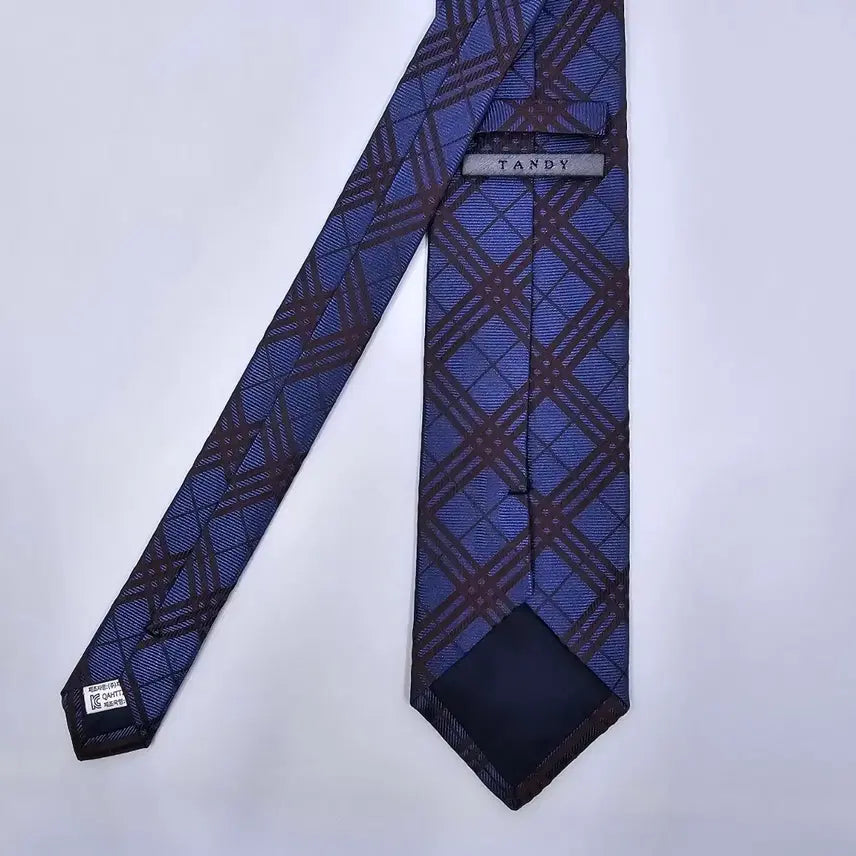 [BUNJANG] Tandy Silk Necktie / 탠디 넥타이