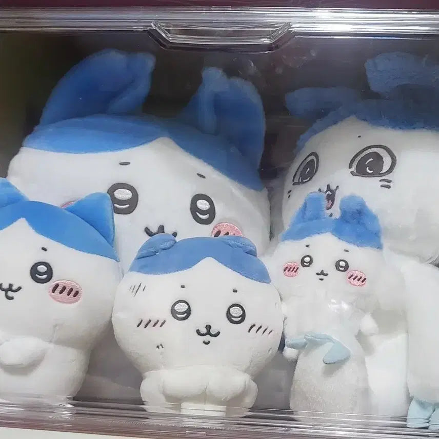 [BUNJANG] Hachiware Bundle Set / 하치와레 일괄 판매