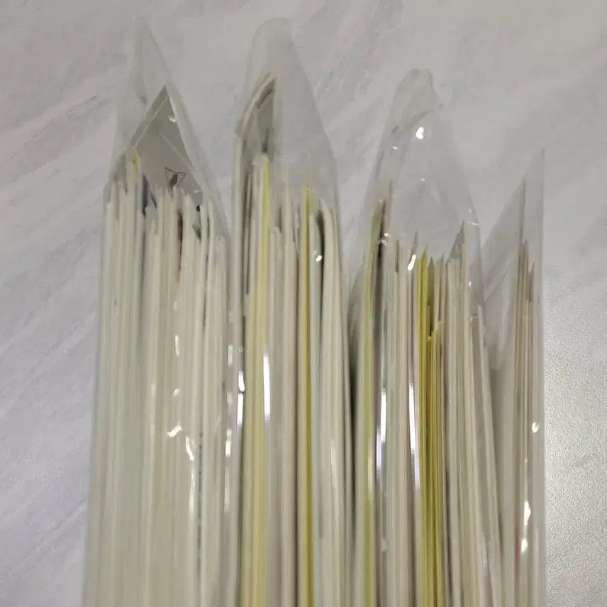 [BUNJANG] Kkaman Neoguri Background Stickers / 까만너구리 배경인스